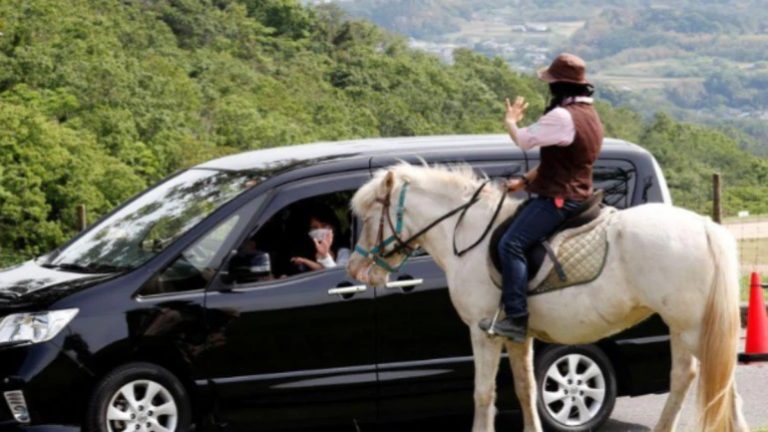 Japanese animal park reopens as a drive-through facility with social distancing