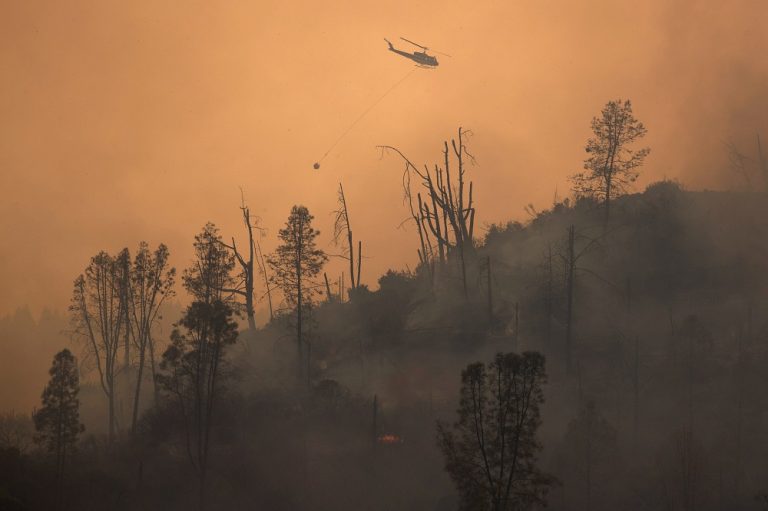 In ‘megafire era,’ California battles record wildfires, pristine redwoods burn