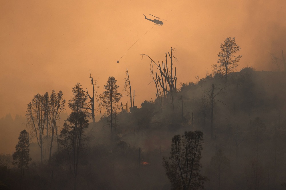 In ‘megafire era,’ California battles record wildfires, pristine redwoods burn