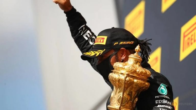 Formula 1: Hamilton credits survival instinct for three-wheeled win