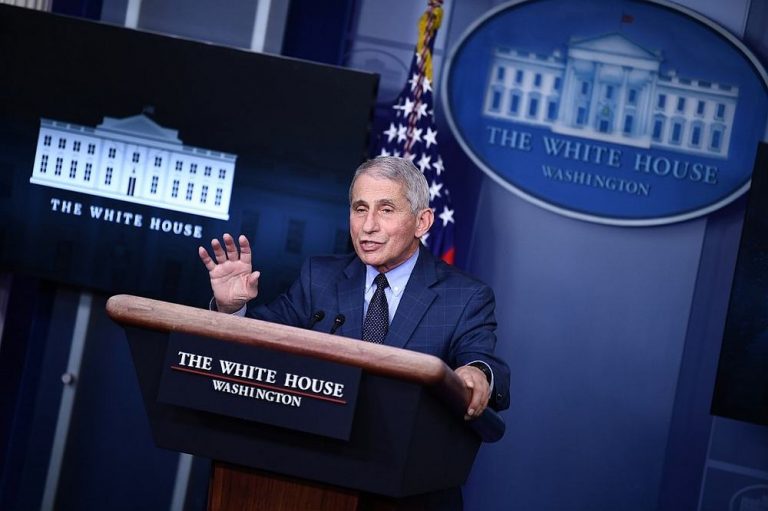 Fauci sees US gaining control over pandemic by next autumn