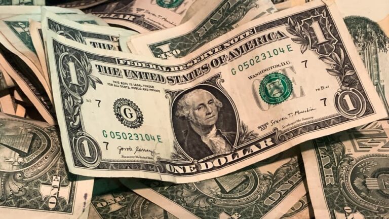 Dollar buoyed by safe-haven bids, rate jitters