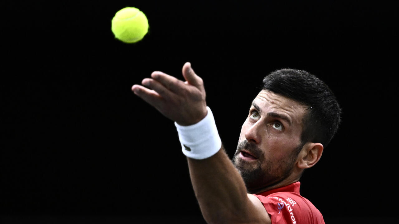 Djokovic will play at ATP Finals, Italy fed president says